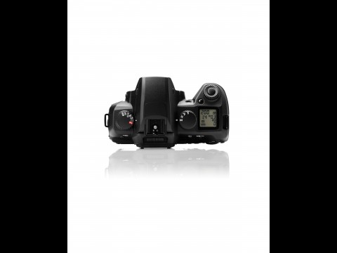 Sigma SD15